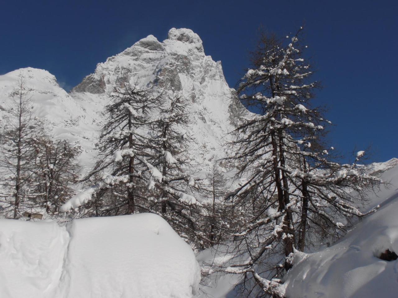 Hotel Lyskamm Breuil-Cervinia Exteriör bild